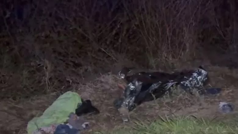 Leia mais sobre o artigo Andarilho morre atropelado na BR-230 entre Pombal e São Bentinho