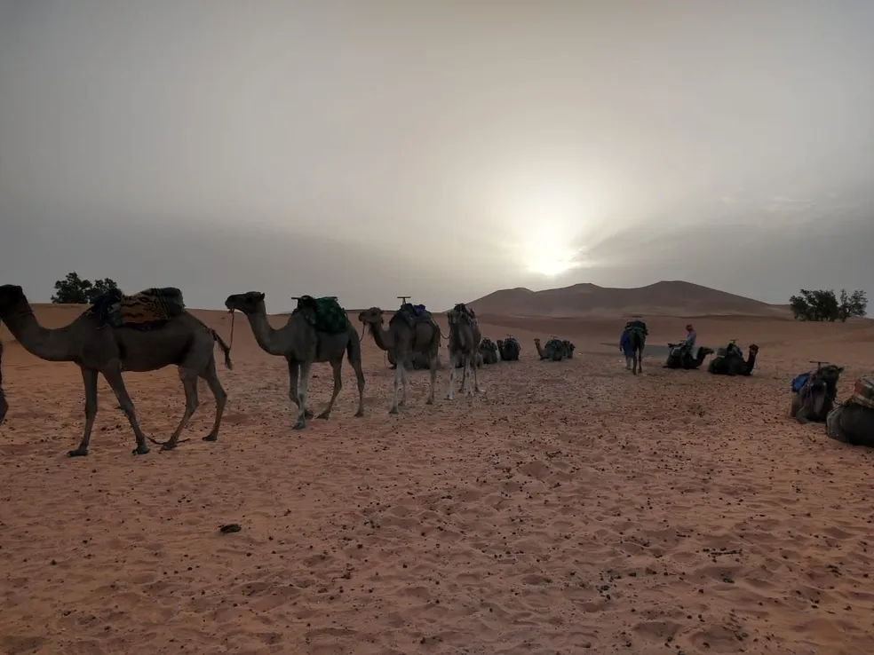 Leia mais sobre o artigo Chuva no deserto? Entenda por que Saara pode ter volumes 5 vezes acima da média nos próximos dias