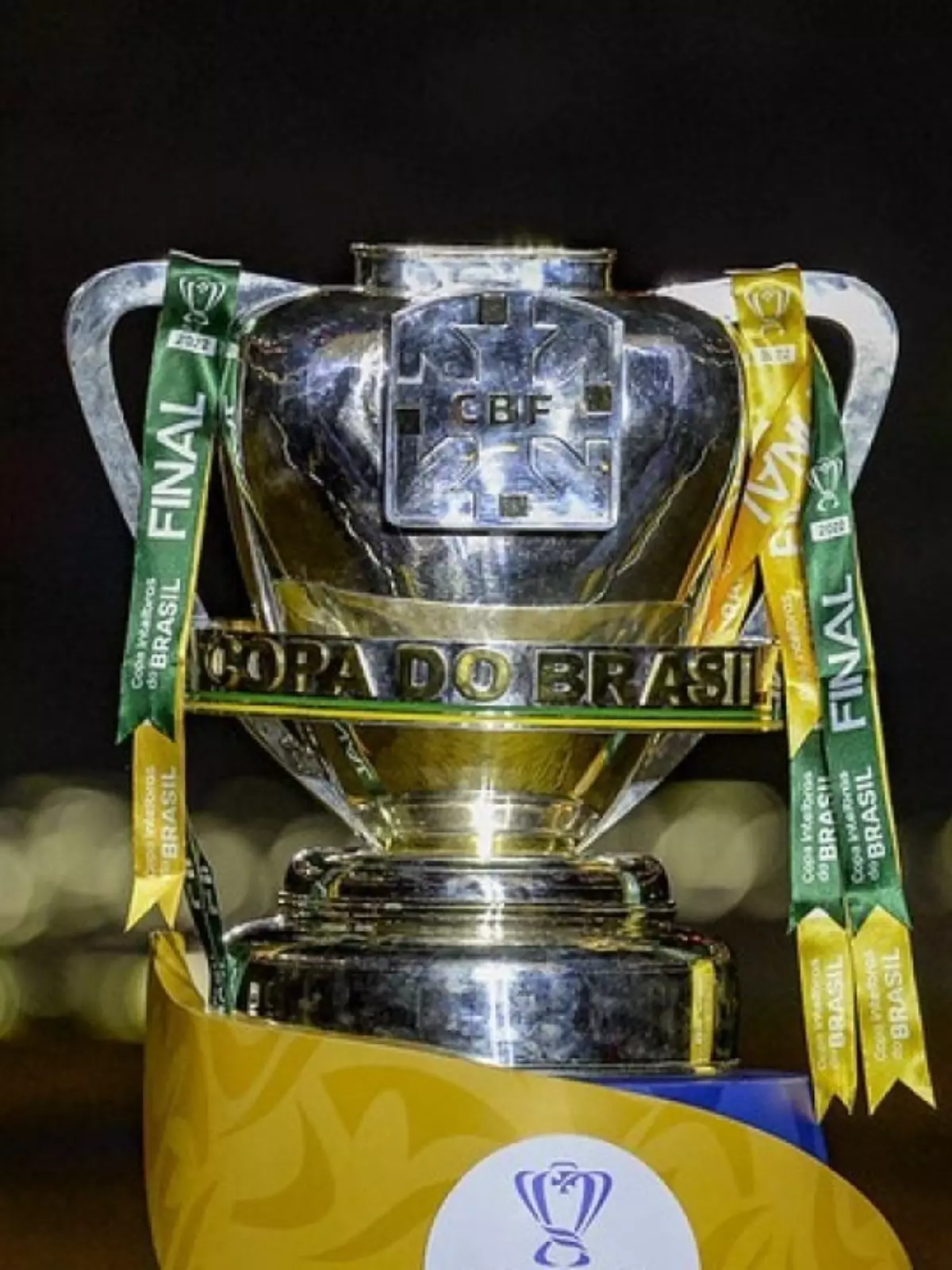 Leia mais sobre o artigo Vasco deve ir ao STJD contra troca de datas da Copa do Brasil e não descarta acionar Justiça comum