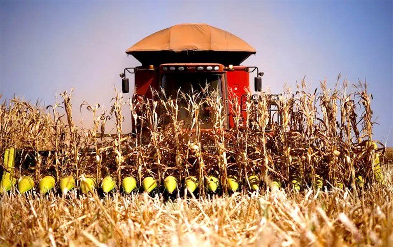 Leia mais sobre o artigo Banco do Brasil supera R$ 115 bilhões de desembolso na safra 2024/25