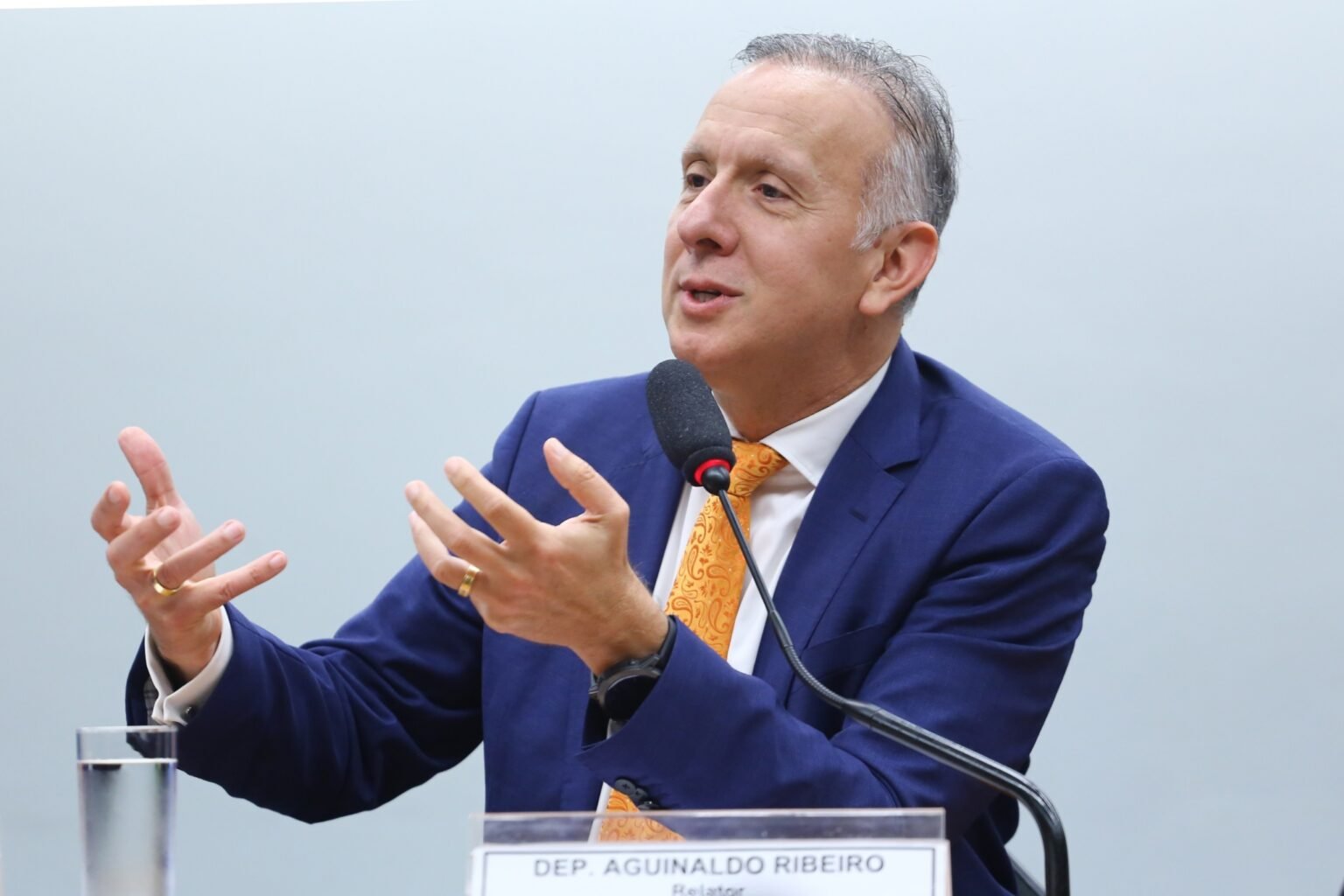Leia mais sobre o artigo Aguinaldo Ribeiro é cotado para liderar governo Lula no Congresso ou na Câmara
