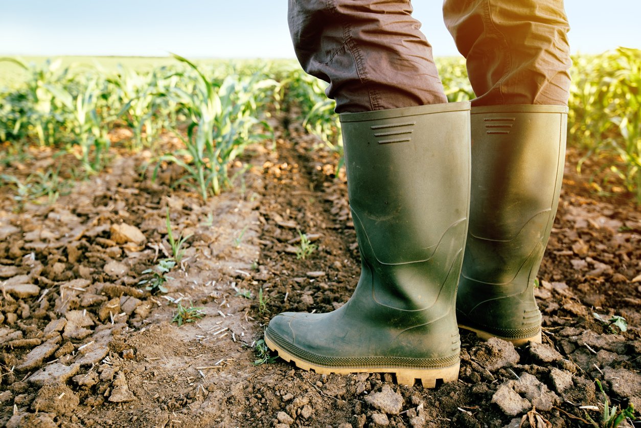 Leia mais sobre o artigo Garantia-Safra vai beneficiar mais de 42 mil agricultores na Paraíba