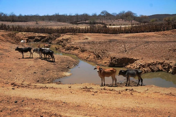 Leia mais sobre o artigo MIDR reconhece a situação de emergência em Cajazeiras e mais duas cidades paraibanas afetadas pela estiagem