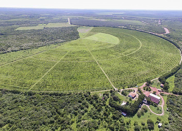 Leia mais sobre o artigo Transposição começa a contratar sistemas de irrigação em Vilas Produtivas Rurais de São José de Piranhas e Cajazeiras