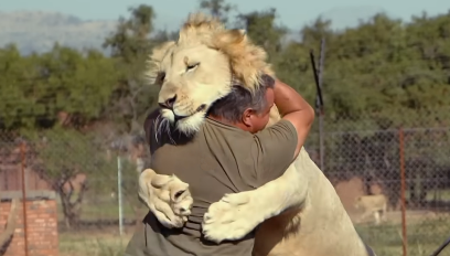 Leia mais sobre o artigo Isenção do Imposto de Renda para até R$ 5 mil dobra número de paraibanos livres do “leão”