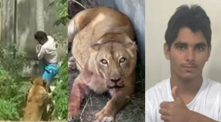 Leia mais sobre o artigo Conheça “Vaqueirinho”: jovem foi preso duas vezes na semana anterior a sua morte em ataque de leoa em zoológico