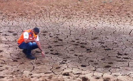 Leia mais sobre o artigo Ministério declara emergência em Cajazeiras e outras cidades da Paraíba afetadas pela estiagem