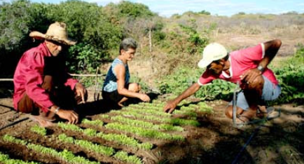 Leia mais sobre o artigo Lei garante alimentos orgânicos em escolas, hospitais e unidades públicas da Paraíba