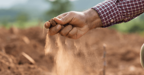 Leia mais sobre o artigo Sousa e mais sete cidades da Paraíba entram em situação de emergência por estiagem