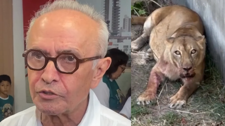 Leia mais sobre o artigo Cícero comenta caso de morte com leoa e reforça debate sobre saúde mental