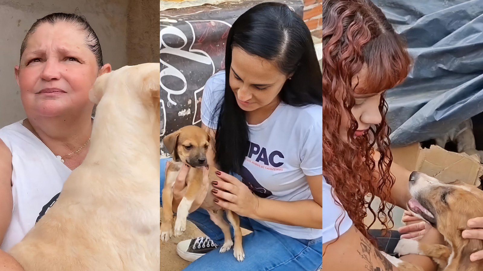 Leia mais sobre o artigo Campanha Dezembro Verde pela causa animal é reforçada por defensores independentes de Cajazeiras